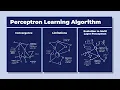 5 Perceptron Learning Algorithm Convergence Limitations and Evolution to Multi Layer Perceptron