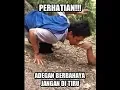 Download Lagu SULING PAWANG ULAR SENDOK / KING COBRA
