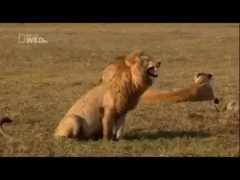 PIADAS CABELUDAS MUITO BOAS 2016