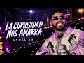 Curiosity Ties Us Down - Anuel AA