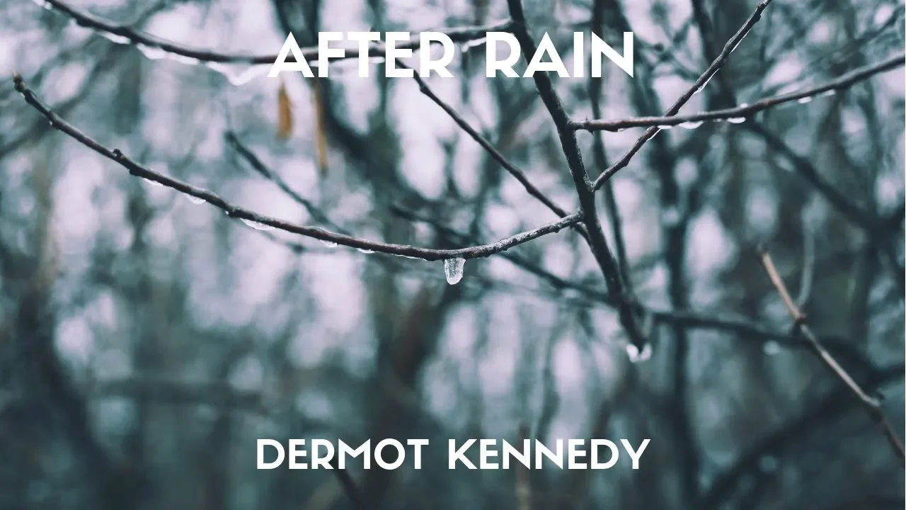 Dermot kennedy - After Rain (Lyrics)