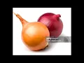 Download Lagu grappig uienliedje