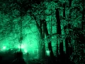 Download Lagu Patara - Waldlauf