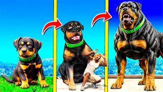 CHOP se CONVIERTE en el PERRO Más GRANDE de GTA 5