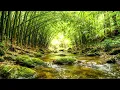Calm Bamboo Tunnel River 🌿 Nature Sounds for Deep Sleep & Relaxation