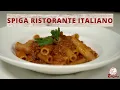 Spiga Ristorante Italiano Check Please South Florida