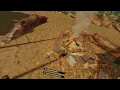 Green Hell VR Part 4 - Exploring for lambda 2