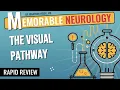 Visual Pathway Mnemonics Memorable Neurology Lecture 10