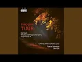 Lagu Viola Concerto \