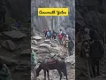 Download Lagu Chalo Amarnath, Amarnath ki Amar Yatra karta Kismat Wala, Jai Baba Barfani!! Om Namah Shivay 🙏🙏