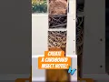 DIY cardboard insect hotel Create a cozy home for your garden friends