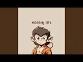 Lagu Monkey Life - Disco Version