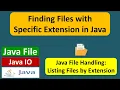 Finding Files with Specific Extension in Java Java IO Basics Java File Java IO