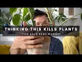 Aerial Roots Water Roots Not the Same Rooting Propagation Care Tips Ep 130
