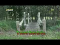 Download Lagu De Eckeltsebeek Beekdal Afferden