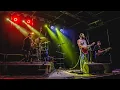 Download Lagu Pociąg do Kolumny 2022 - Witek Muzyk Ulicy