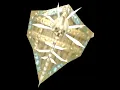 Were Orc Bone Shield Ornamentation