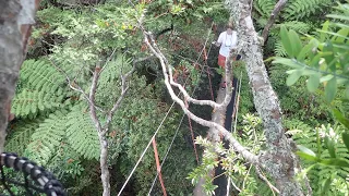 Sailing Eco Adventurers cross a suspension bridge and see how Manuka honey is farmed…Ep21