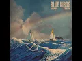 Blue Birds