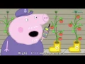 Download Lagu 41   Peppa Pig Papai Pig Campeão   Completo   Em Portugues do Brasil S3E41