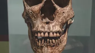 Simple Gene Tweaks Gave Us Uniquely Human Faces And Voices 