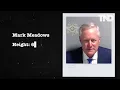 Mugshots for defendant co-defendants in Trump Georgia election case