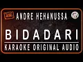 Download Lagu ANDRE HEHANUSA - BIDADARI - KARAOKE ORIGINAL AUDIO