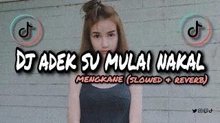 Download DJ ADEK SU MULAI NAKAL mengkane🎶 (slowed \u0026 reverb) MP3