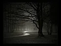 Disturbed music: Darkness