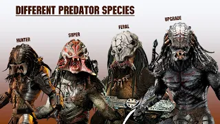 Download The 8 Predator Subspecies And Hybrids Explained MP3
