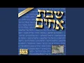 Download Lagu Yachad (feat. Sheves Achim Family)