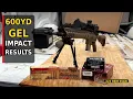 Terminal Performance at Distance - 223 55gr Comparison Testing