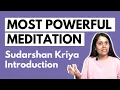 What is Sudarshan Kriya Introduction to Meditation Breath Meditate with me Art of Living