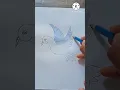 bird colour step by step