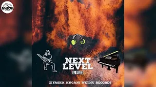 dj pelco next level original mix 