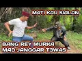 Lagu 🔴BANG REY LAMPUNG TERBARU || DETIK DETIK MAD JANGGAR T3W4S DI HANTAM BANG REY