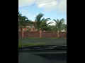 3 Palmas