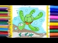 How to Draw Sea Turtle Coloring Pages for Kids and Beginners