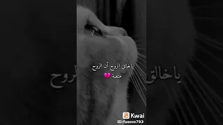 ياخالق الروح ان روح متعبه حالات واتس اب جميلة 2021 حالات واتساب حزينه ستوريات انستا 