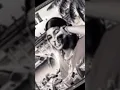 4PETI. ((Instrumentul. B).       4PETI (Instrumentul.  B,))3.8k                    Likes 89,459 View