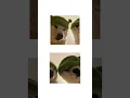 Matching pfp for best friends