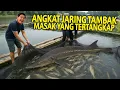 Download Lagu ANGKAT JARING DI TAMBAK! KITA MASAK YANG TERTANGKAP! PERANGKAP IKANKU JUGA DAPETIN BANYAK IKAN!