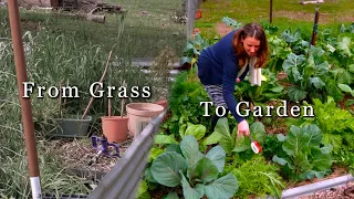 Goodbye Grass, Hello Food! | Building our favourite Spring garden – Free Range Homestead Ep.  52
