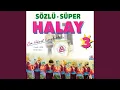 Download Lagu Ölürem Kızlar, Erzincan'lı, Saray Yolu Düz Gider, Eleri Kınalım, Meğri Meğri, Pınara...