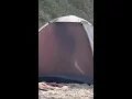 Download Lagu Couple caught in wild act on Aussie beach