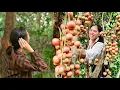 Download Lagu Oud gezegde: \