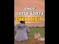 Download Lagu UNGU COVER ADISTA - LUKA DISINI || MUSIK POP INDONESIA LAGU GALAU 2024