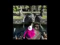 Download Lagu Bali fish 🐟 feeding