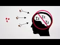 Download Lagu Hoe vermijd je de nadelige effecten van cafeïne?