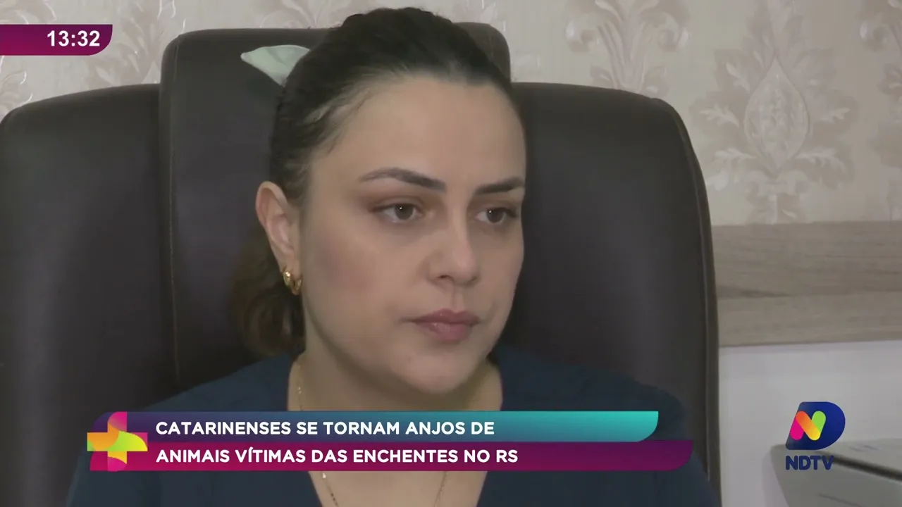 Veterinária de Navegantes resgata animais em enchentes no Rio Grande do Sul